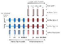 seq2seq_trans